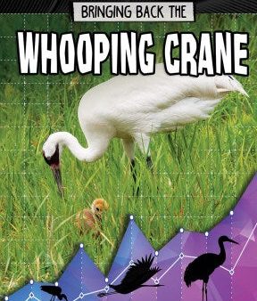 Bringing Back the Whooping Crane Online now