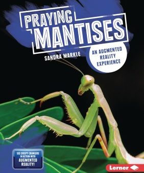 Praying Mantises For Cheap