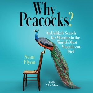 Why Peacocks? Supply