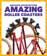 Amazing Roller Coasters Online Sale