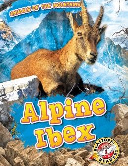 Alpine Ibex For Cheap