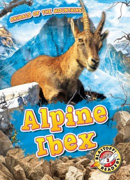 Alpine Ibex For Cheap