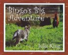 Bingo s Big Adventure Fashion