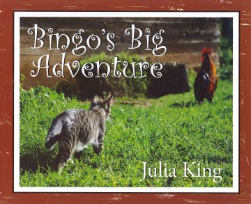 Bingo s Big Adventure Fashion