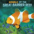 Animals of the Great Barrier Reef Cheap