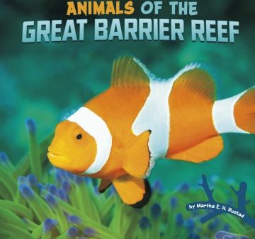 Animals of the Great Barrier Reef Cheap