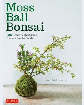 Moss Ball Bonsai Hot on Sale