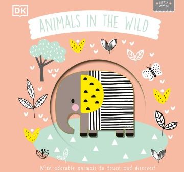 Animals in the Wild For Discount