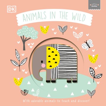 Animals in the Wild For Discount