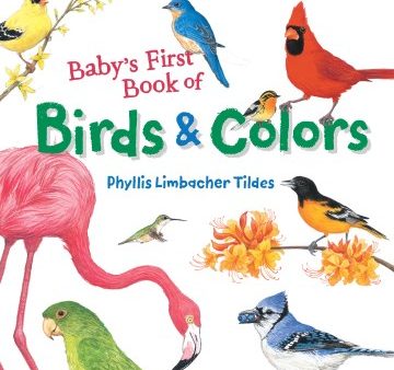 Baby s First Book of Birds & Colors Fashion