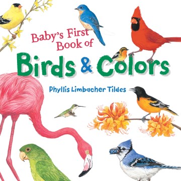 Baby s First Book of Birds & Colors Fashion