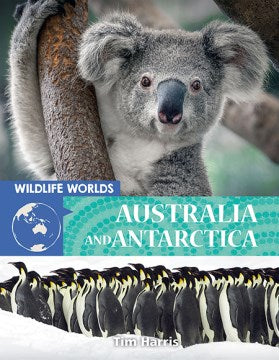 Australia and Antarctica For Sale