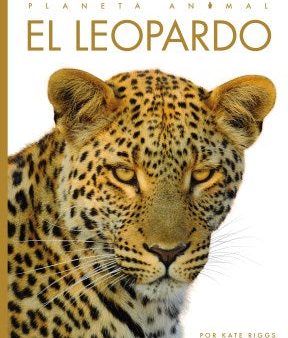 El leopardo Cheap