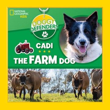 Cadi the Farm Dog Sale